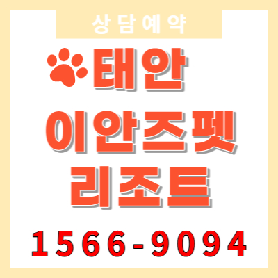  태안 이안즈펫 리조트 반려동물과 함께하는 공간