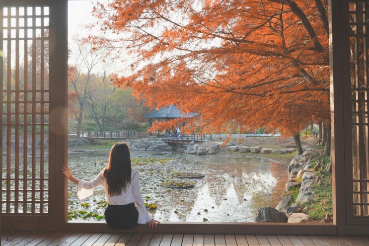 전주 떠오르는 단풍명소(전주수목원)