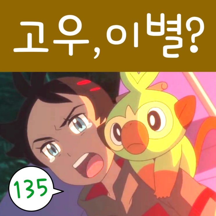  포켓몬스터 W 135화 포켓몬 고우 이별?