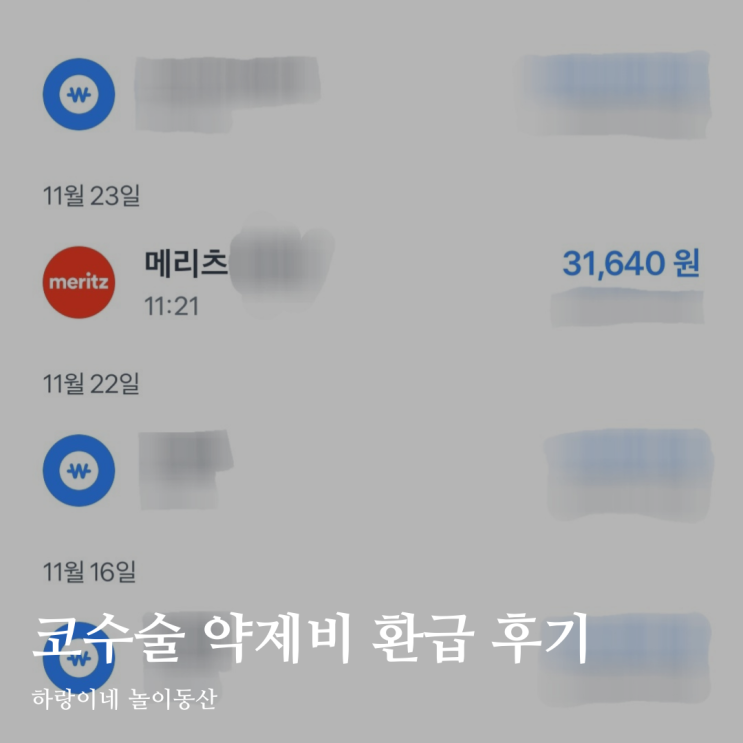  기능코 성형 실비 약제비 청구 환급 미용코 비용 제외