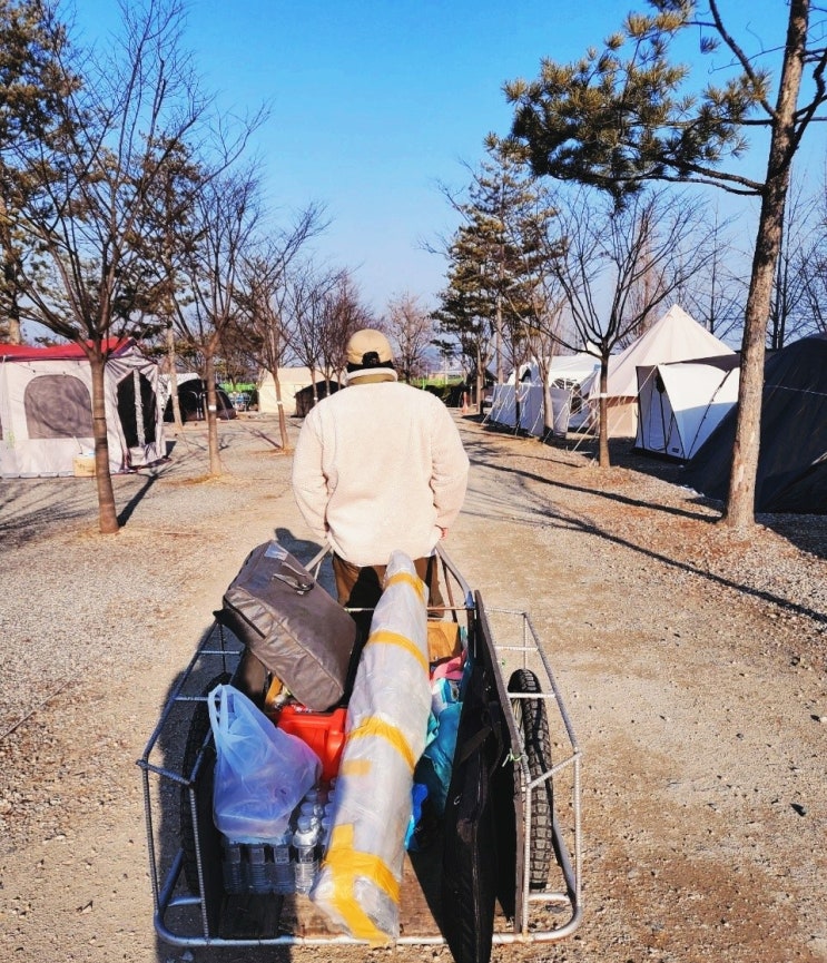 안성 내츄럴리조트 애견캠핑장 장박예약 소,대형견 놀이터有 안성 내츄럴리조트 애견캠핑장 장박예약 소,대형견 놀이터有