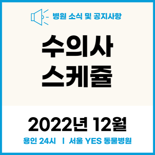  연중무휴 24시 서울YES동물병원 _ 12월 수의사스케줄( 용인 분당 수원 동물병원)