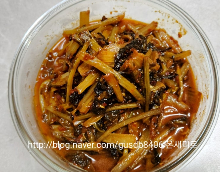 신 열무김치볶음 열무김치 지짐 밥 반찬으로 굿! 신 열무김치볶음 열무김치 지짐 밥 반찬으로 굿!