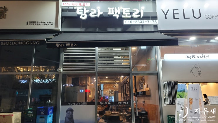 서울 마곡동 마곡역 고기집 탐라팩토리 추천 김포공항 근처 삼겹살 맛집