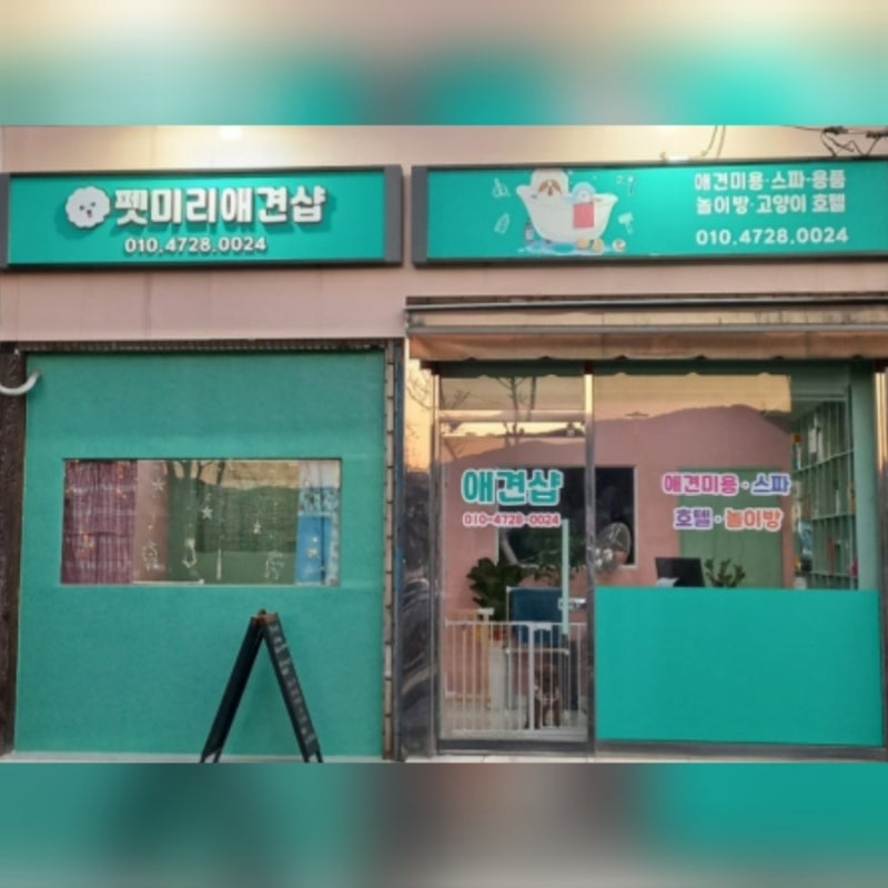 사진 9