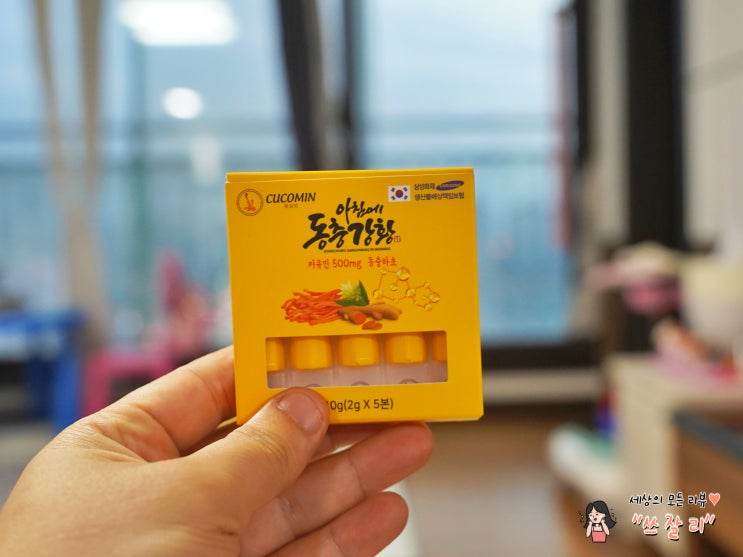  아침에 동충강황으로 커큐민 CUCOMIN 채우자
