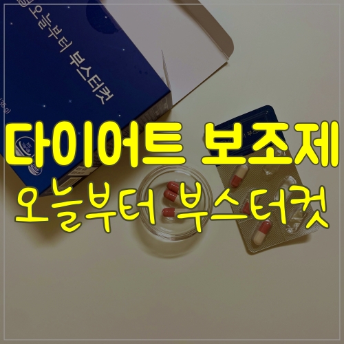  체지방감소에 도움을 주는 오늘부터 부스터컷