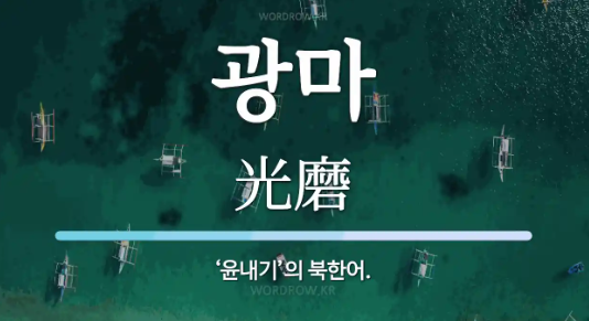 광마 뜻 그리고 박성진 금시조 월드 저품질 블로그 탈출법(체험판) 광마 뜻 그리고 박성진 금시조 월드 저품질 블로그 탈출법(체험판)