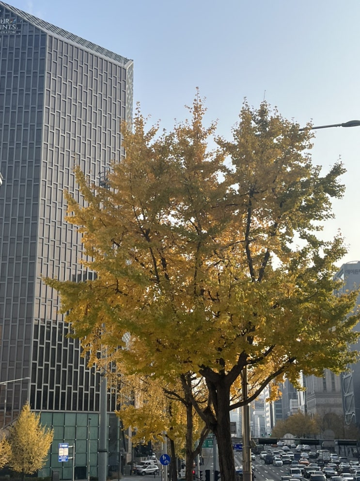 불로불사의 인어는 입 맞춤과 눈빛 하나하나에 자신의 생을 담고 불로불사의 인어는 입 맞춤과 눈빛 하나하나에 자신의 생을 담고