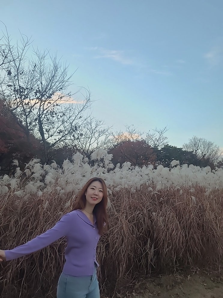  치앙마이 한달살기 마치고 한국 와서는 쭈욱