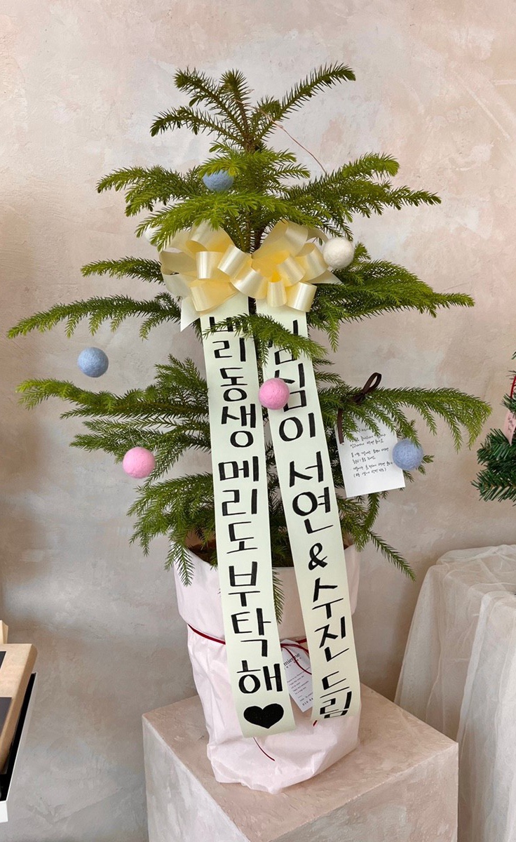  집들이 선물 추천 트리나무c (feat.카타르월드컵 3차전 응원하기)