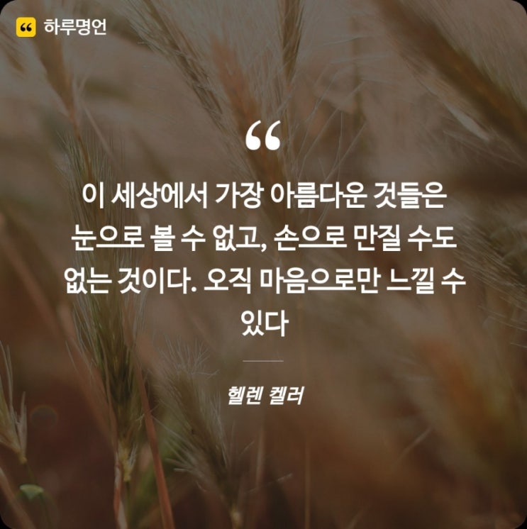 이세상에서 가장 아름다운것