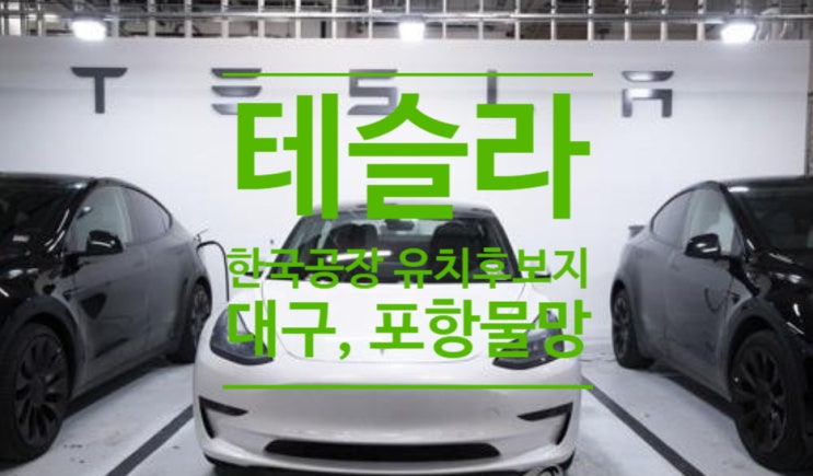  글로벌 전기차기업 '테슬라' 한국공장 유치후보지로...대구, 포항 물망