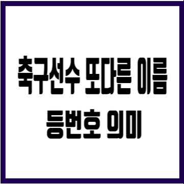 월드컵 축구선수 손흥민 등번호 7번 의미 유래