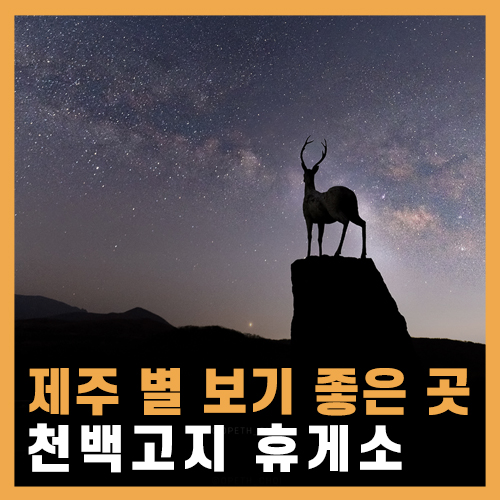  별 보기 좋은 야간명소 제주 천백고지 휴게소 / 은하수 비추천