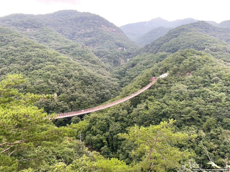  직접 방문해보고 좋았던 폭포 후기 내돈내산