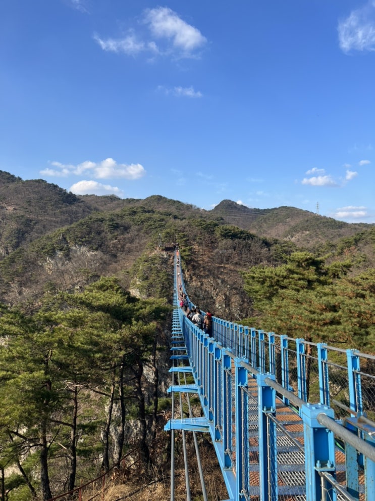 원주여행 I 당일치기로 다녀온 소금산출렁다리 뮤지엄산 (원주투어버스 꼭 타세요)