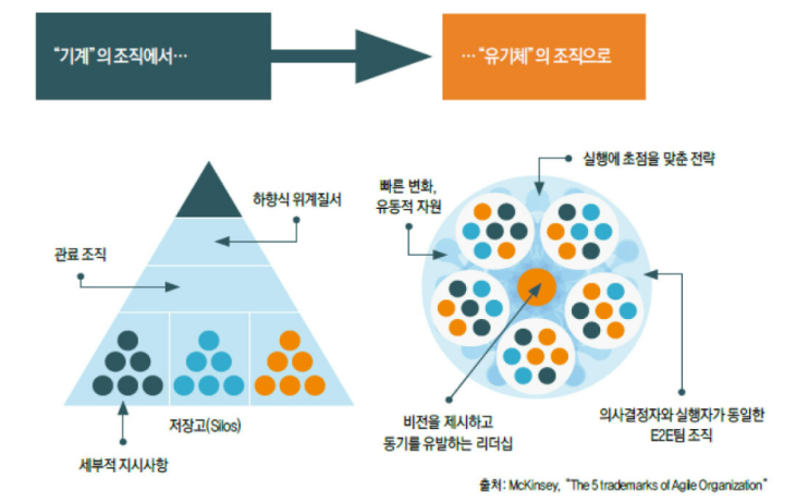  [경영] '홀라크라시(Holacracy)'란 무엇인가?