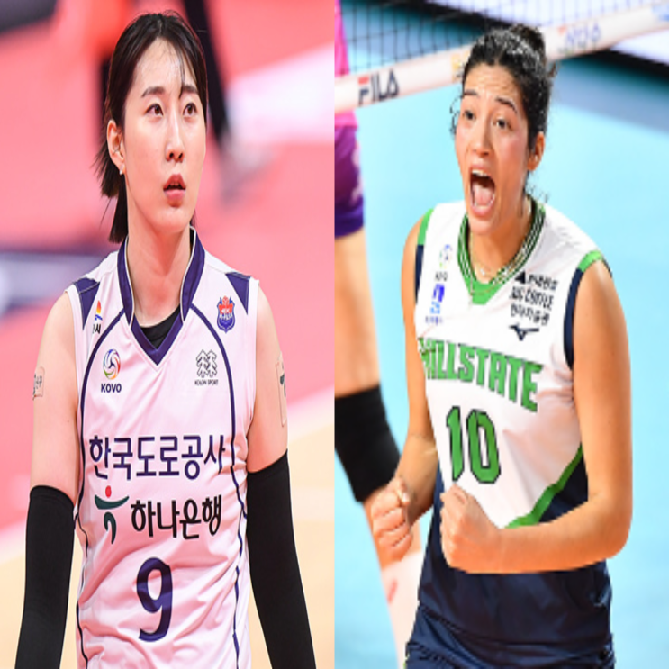 도로공사 현대건설, V리그 여자배구 12월 4일 경기예상(도공현건, 현건도공, 카타리나 박정아 배유나 야스민 양효진 황민경)