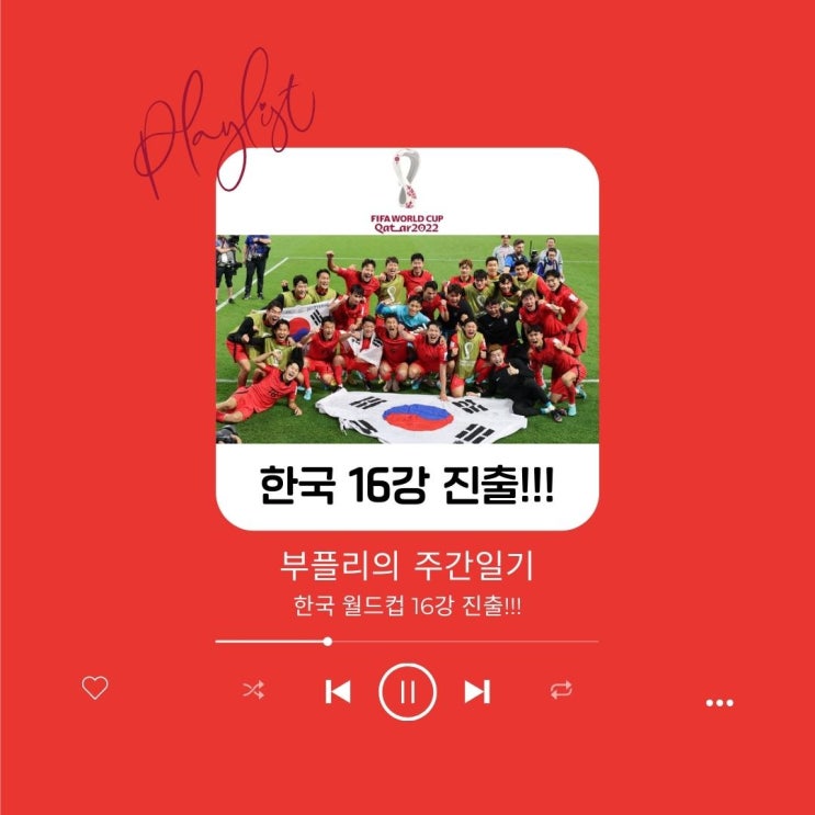  [주간 일기] 한국 월드컵 16강 진출!!!