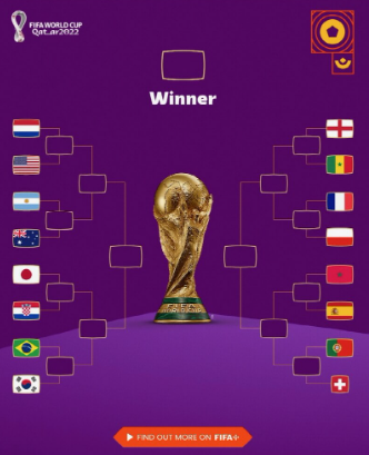 월드컵 16강 대진표 (대한민국브라질)