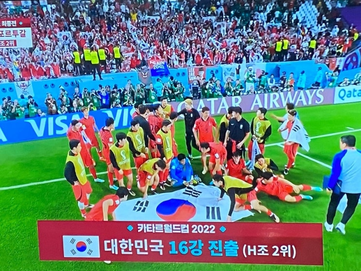  ️대한민국 2022년 카타르 16강진출 ️