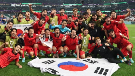  주간일기 4주차 월드컵 16강 진출 브라질vs대한민국 고구마 성장기