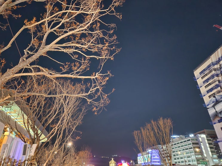 미국의 학교폭력 대응 규정 1