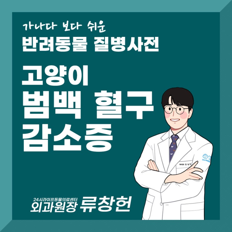 대구 24시 진료 동물병원 : 고양이 범백 혈구 감소증 알아보기