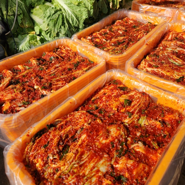 <b>청주한국병원</b>맛집 병문안후 김치짜글이 김치삼겹살