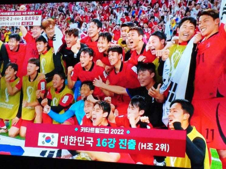  카타르월드컵 대한민국 VS 포르투갈, 봄카페2019, 토요커리