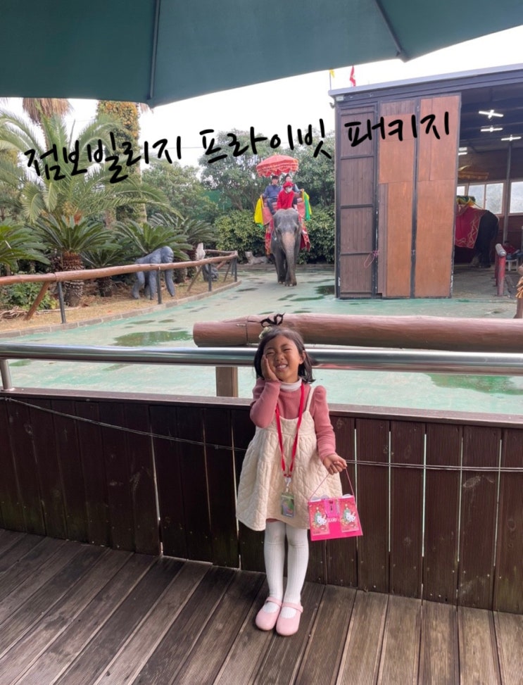  제주도 서귀포여행지 아이랑 갈만한곳 내돈내산 방문후기 ️점보빌리지 프라이빗 패키지