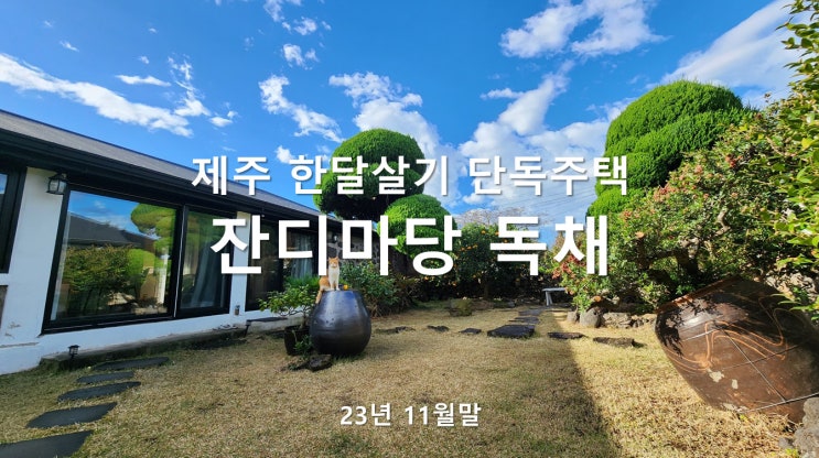 제주 한달살기 단독주택 - 잔디마당 독채에서 고양이와 함께!