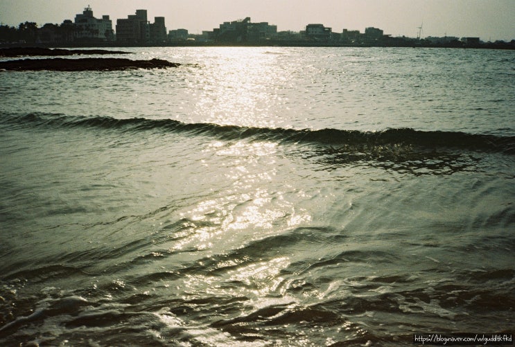  미놀타 Prod'20_Film Photo_12월의 제주도