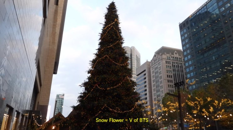 Snow Flower - V