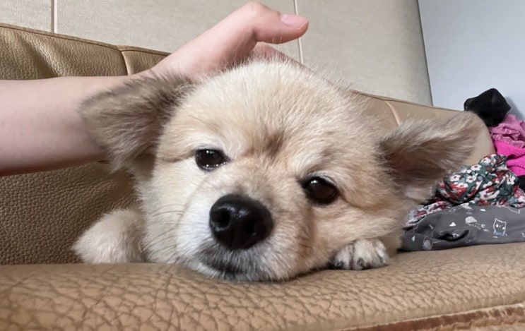  주간일기를 6개월이나 쓰다니ᆢ스스로 장해요! 