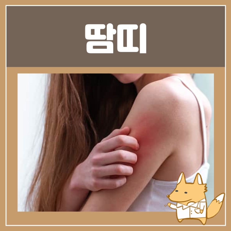  아기배땀띠 성인 아기 땀띠 연고 리도멕스 : 겨드랑이 땀띠 없애는법 땀띠약 땀띠분 엉덩이 땀