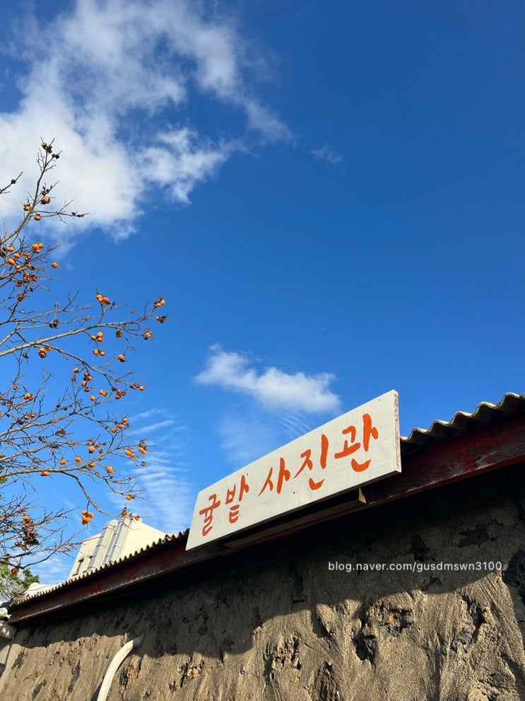  [제주] 제주감성 가득한 추억만들기 귤밭사진관