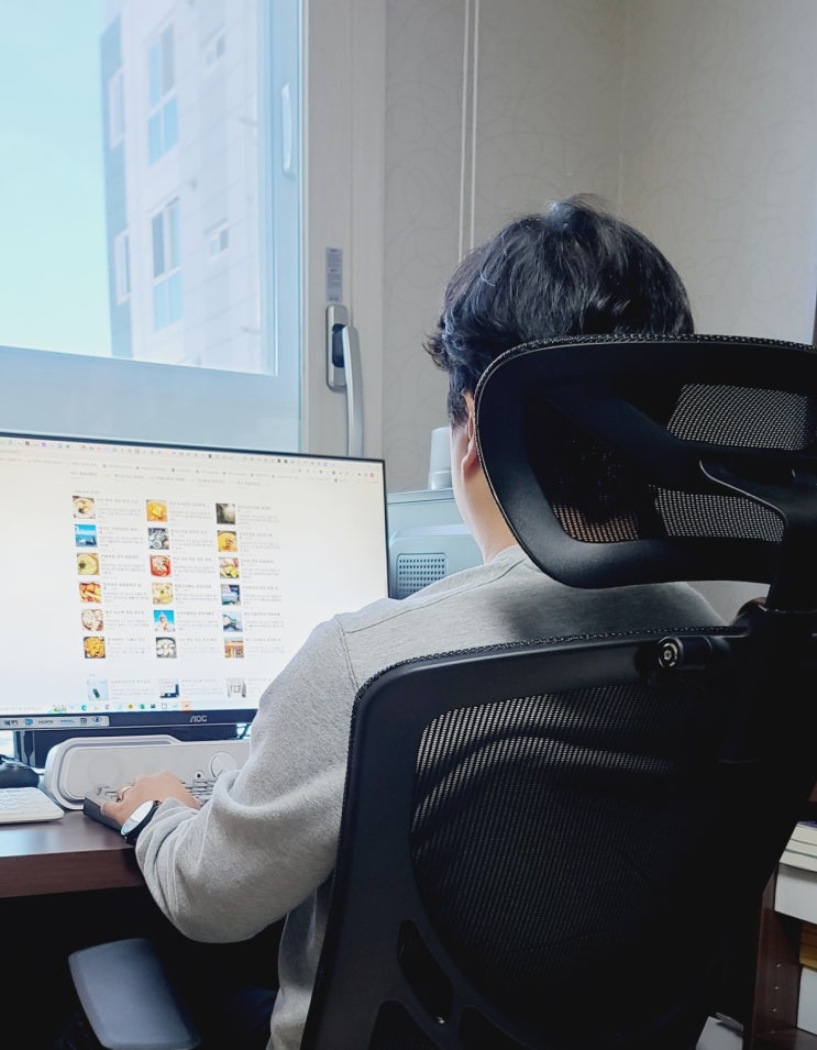  사무용 게임용 어디든지 편안한 제닉스 OVVICE GT10 메쉬의자
