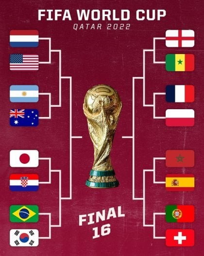  카타르 월드컵 축구대표팀16강 일정