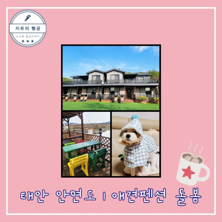  안면도 애견 펜션 돌봄 - 103호 태안 여행 내돈내산 찐후기 개별테라스 넓은 운동장