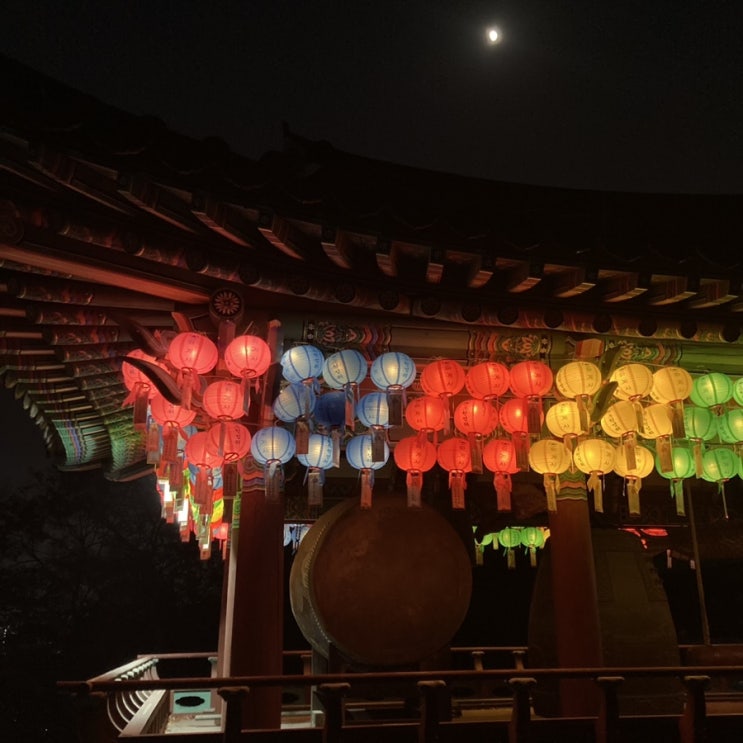  [강북] 수유동 삼각산 화계사 둘러보기 - 미륵전, 고양이