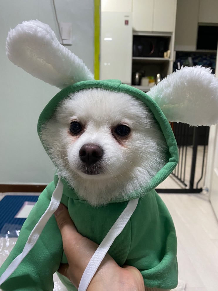  [룩또] 이번주 1044회 로또 당첨번호 조회 1등 당첨금 31억