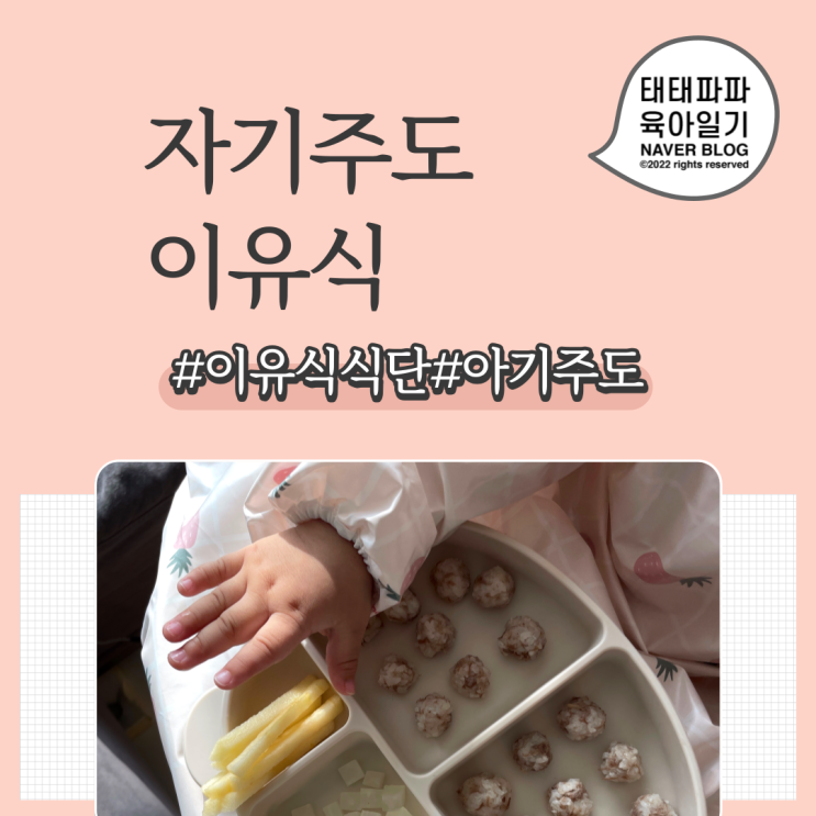  자기주도 이유식, 아기주도 이유식, 식단
