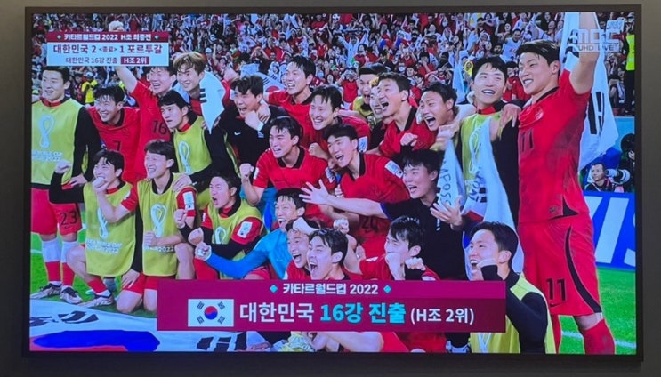 [카타르 월드컵] 대힌민국 16강 진출!!!!!