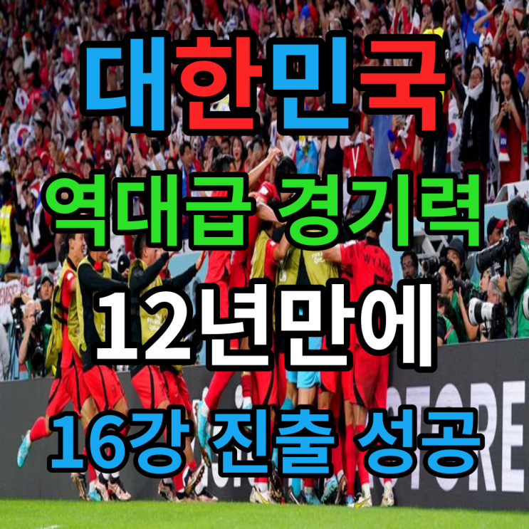브라질 / 8강 가능성 / 시간 일정 / <b>손흥민 호날두</b> / 축구 월드컵