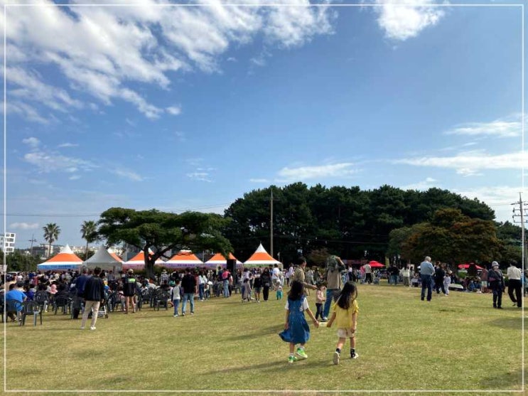  서귀포 가족 축제의 날, 아이들과 함께하기 좋은 제주도