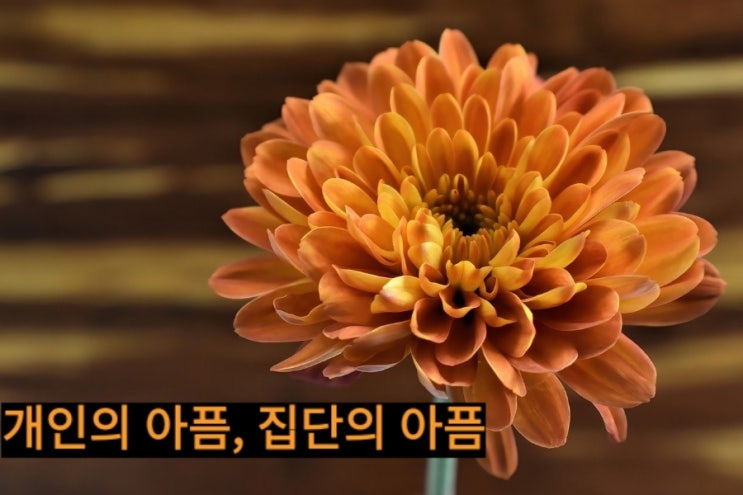  개인의 아픔, 집단의 아픔 (feat 안좋은 일들만 자꾸 왜 우리에게 이런일이 나탐)
