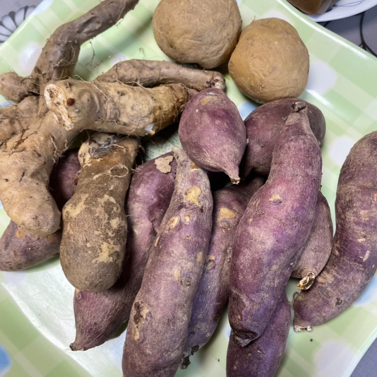  이번주 맛도리는 구황작물