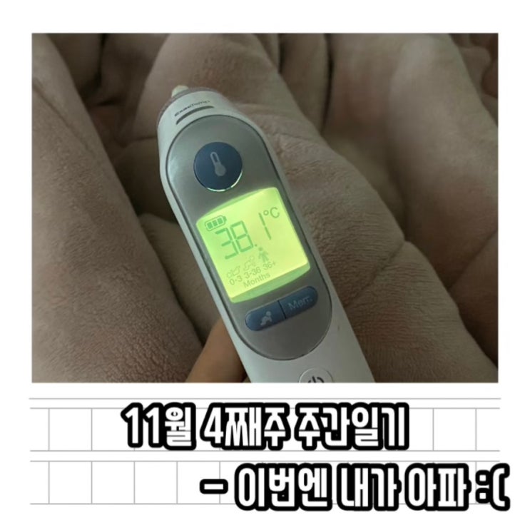  11월 4째주 주간일기